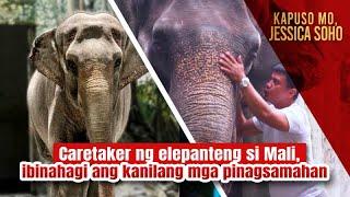 Caretaker ng elepanteng si Mali, ibinahagi ang kanilang mga pinagsamahan | Kapuso Mo, Jessica Soho