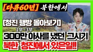 [청진행방몰아보기]  북한에서 300만 아사를 초래했던 고난의 행군 그시기 함북도 청진에서 있은일!