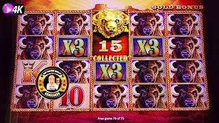 ALL 15 GOLD HEADS - The Buffalo King Hits HUGE JACKPOT