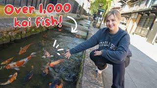 This Japanese Town has KOI FISH in the Streets  ft. @AbroadinJapan