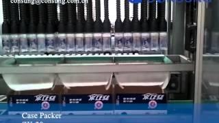 Square bottle carton packing machine,case packing machine