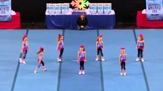 WILD All-Stars - Itty Bitty Kitties - Tiny 1