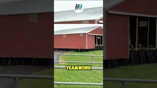 How the Amish Move Entire Buildings Without Machines