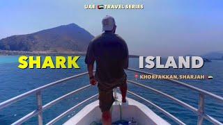 Shark island, Khorfakkan, Sharjah  | Mini Maldives in the UAE 