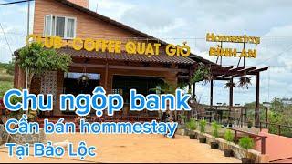 Chu cần bán gấp can hommestay gồm 9ph + 1quan ca phe dT500m có san tc 130m cách TT tp bảo Lộc 7km