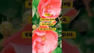 5월, 장미의 계절 #강동구청 #길동생태공원 #그린웨이캠핑장 #허브천문공원