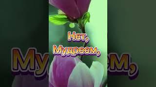 Мудрость жизни