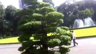 Đi và trải nghiệm tham quan trong Dinh Độc Lập lúc 08h30 sáng