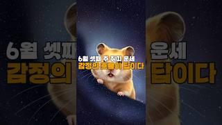 [골목점집 운세]  쥐띠 주간운세｜빠르게 판단하고, 기회를 잡아라!  #운세채널  #띠별운세  #오늘의운세  #월간운세  #주간운세  #타로운세  #사주풀이  #신점운세