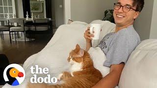 Cat Likes Dad More Than Mom | The Dodo