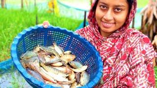 দেশি মাছ কত টাকা দিয়ে কিনলাম 