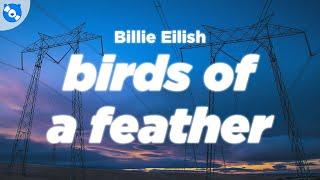 Billie Eilish - BIRDS OF A FEATHER (Clean - Lyrics)