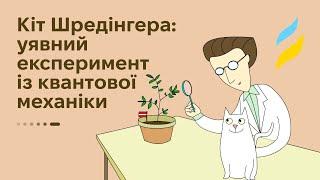 Кіт Шредінгера: уявний експеримент із квантової механіки