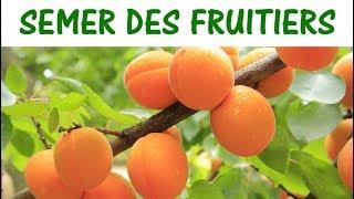 SEMER DES ARBRES FRUITIERS / semer des noyaux et pépins