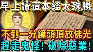 這部經有這麼神？早上讀上一分鐘，勝過拜1001尊佛，讓你的功德88倍的增長！丨佛談大小事