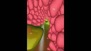 Digestive system- small intestine villi (3D Animation)