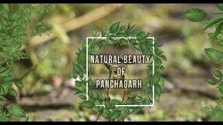 Natural Beauty Of  panchagarh ,Bangladesh ||Alokmiti - আলোকমিতি|| Maruf Hasan Abir