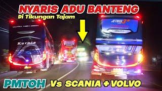 Nyaris Adu Banteng , Nyali Supir Tingkat Dewa, PMTOH Vs VOLVO + SCANIA