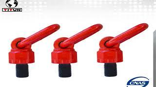 heavy lift swivel hoist rings