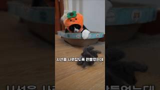 다이소 고양이 무선 장난감 강화하기