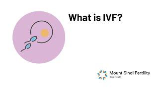 What is In vitro Fertilization Aug 2022