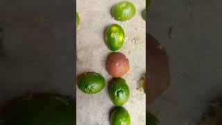 #sajaunga #song #viralshort #viral #shorts #short #viral #video #Himanshu #king