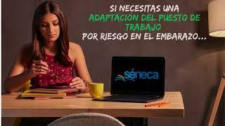 Adaptación del puesto de trabajo por riesgo en el embarazo. Consejería Desarrollo Educativo y FP