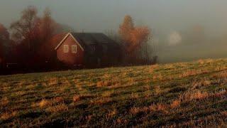 a playlist for a quiet autumn morning