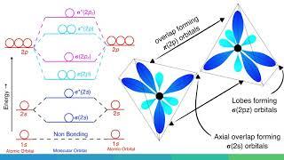 Molecular Orbital Diagram of B2, C2, and N2 Molecules.