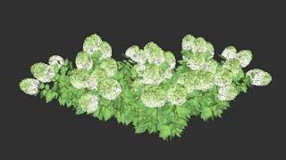 Sketchup Landscaping - Modeling a Hydrangea (Model Included)