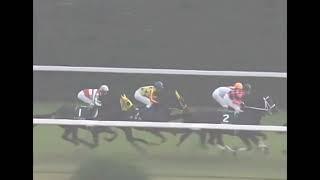 アストンマーチャン 2006年 第11回KBS京都賞 ファンタジーステークス(GIII) (優勝馬：アストンマーチャン)