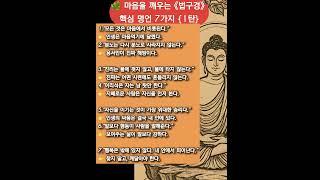 #법구경1탄#불교명언#고전명언#내면의힘#마음공부