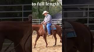 Incorrect perceptions about tail swishing