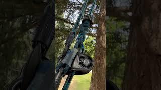 Limbing up a fir #treelife #arborist #letitrun