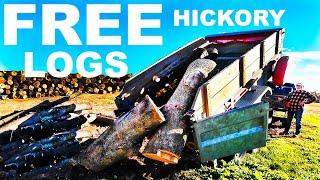 2 FULL CORDS OF FREE HICKORY!