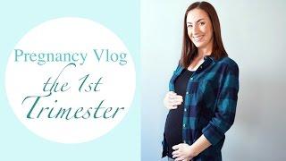 kateschwanke - Pregnancy Vlog #1 The First Trimester: Rainbow Baby, Symptoms + Bump!