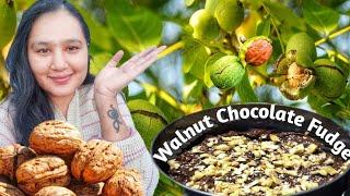 || Walnut Season|| Walnut Chocolate Fudge Recipe|| Kinnaur HP ||