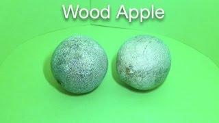 Wood Apple