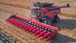 NEW CASE IH AF10 Combine w/ 16-Row Corn Head Hits Over 8,000 Bushels/Hr | In-Cab Chat w/ CNH Dealer