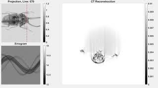 CT reconstruction of an insect 200 rotation steps