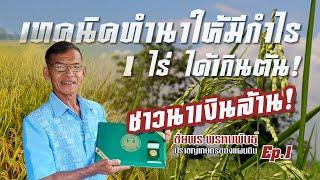 เทคนิคทำนาให้มีกำไร 1 ไร่ ได้เกินตัน #เกษตรอารมณ์ดี