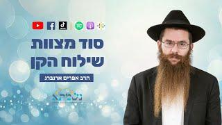 סוד מצוות שילוח הקן | קדושת לוי | הרב אפרים ארנברג