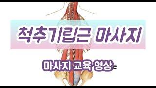 클리니컬 마사지 & 마사지 교육 -"척추 기립근 마사지"