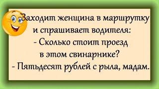 "Слушай, а давай с тобой уедем..." Анекдоты! Юмор для Вас!))