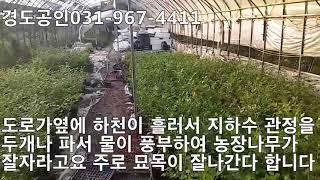 ((급매 부동산))서울근교 급매 하우스있는 불루베리농장