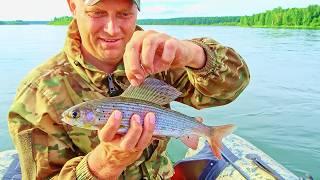 РЫБАЧУ НА КОНЯ!! СТУЧИМ ПО ДНУ - ОНИ САМИ ЛОВЯТСЯ! ВОТ ЭТО РЫБАЛКА! ЛОВИМ ХАРИУСА