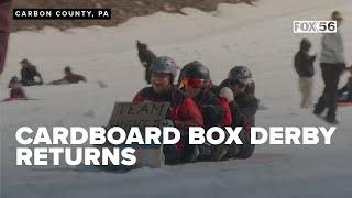 Resort's Cardboard Box Derby draws competitors of all ages