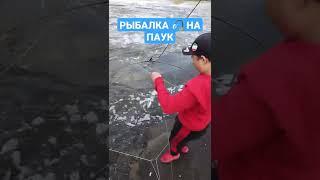 Рыбалка  на паук весной