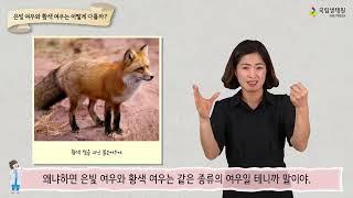 [국립생태원] 31 은빛 여우와 황색 여우