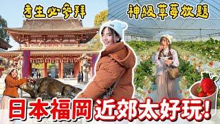 神級好吃的草莓吃到飽！不用排隊的在地人推薦鰻魚飯，還有柳川遊船、太宰府天滿宮，一日遊跟團這樣玩～｜Haven在日本